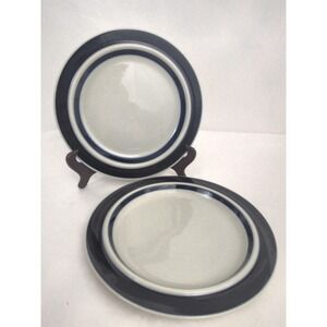 Arabia Blue Anemone Finland Dinner Plates 10 1/8 Mid Century Set 2 VTG Denmark